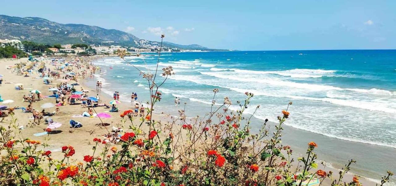 Villa Paula Alcossebre Mar Y Montana Exteriér fotografie